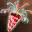 xs8bjc.png